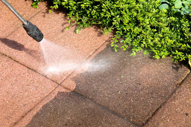 Best Exterior Home Cleaning  in Squaw Valley, CA